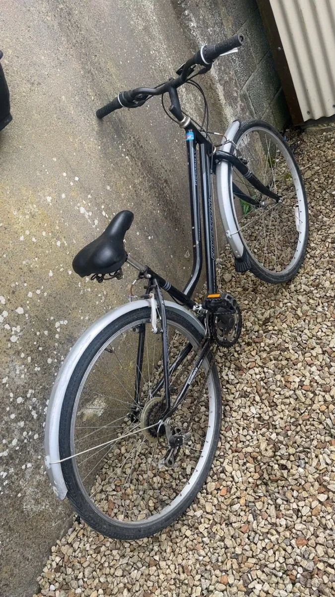 Professional Piccadilly bike - Image 2