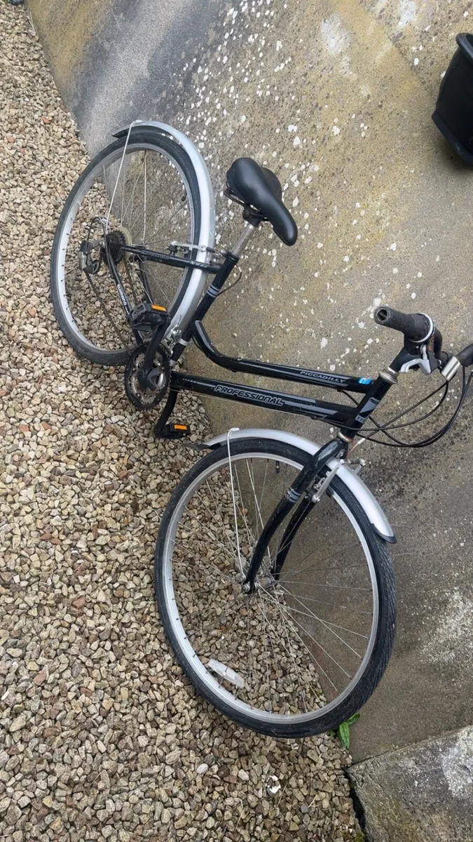 Professional Piccadilly bike - Image 3