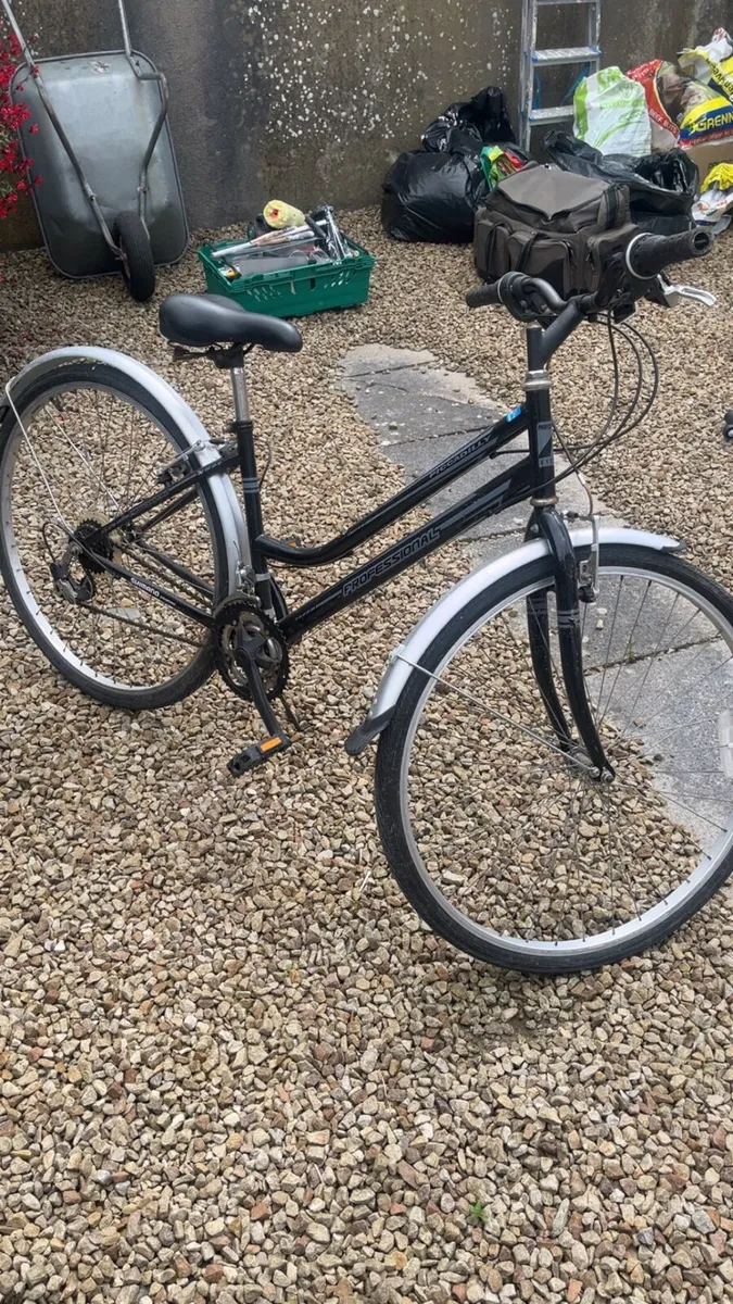 Professional Piccadilly bike - Image 4