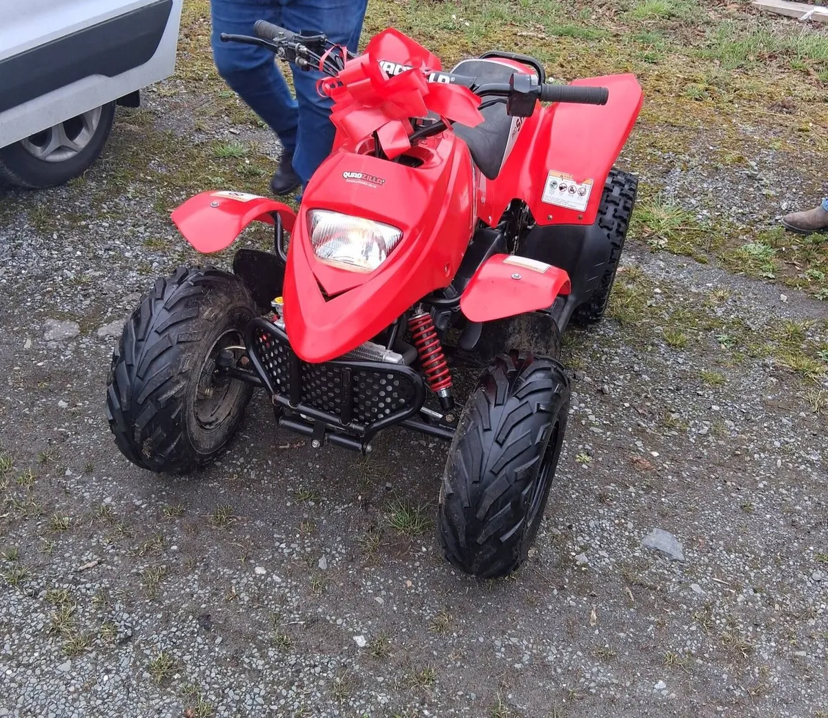 Quadzilla pro shark r100 quad - Image 1