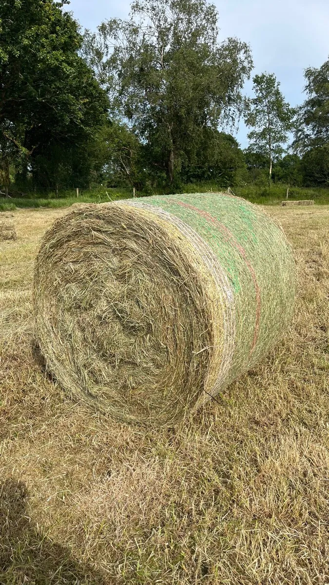 Organic hay bales for sale