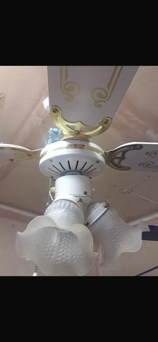 Ceiling rose fans - Image 3