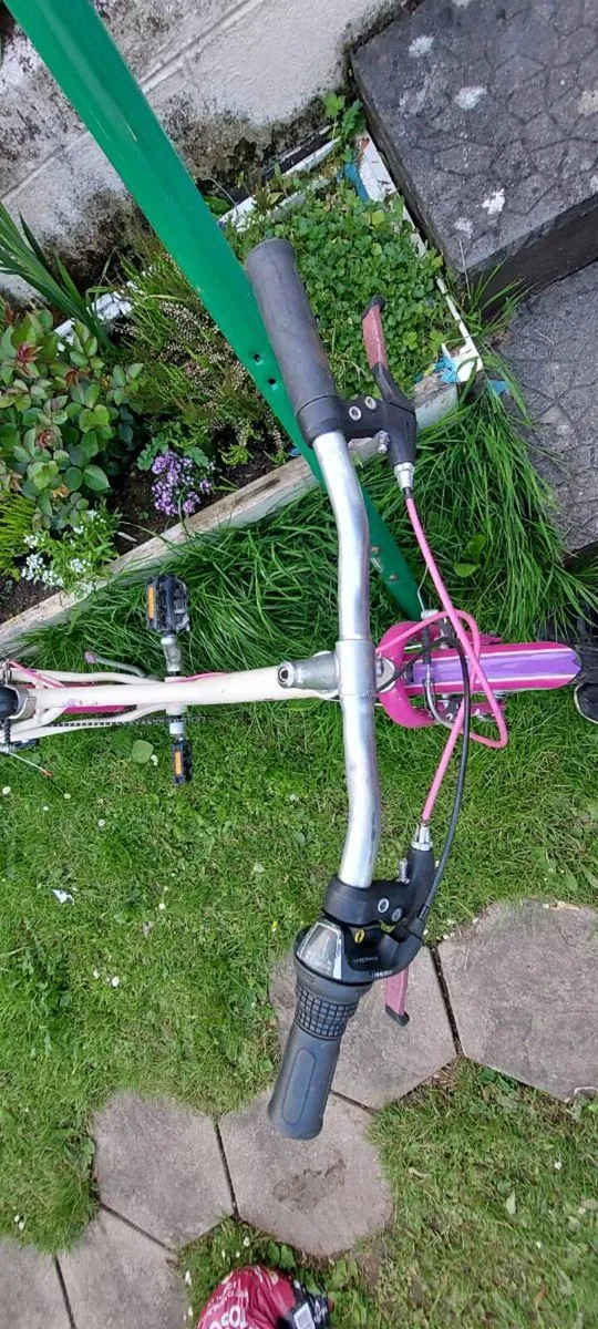 Bicycle - Image 1