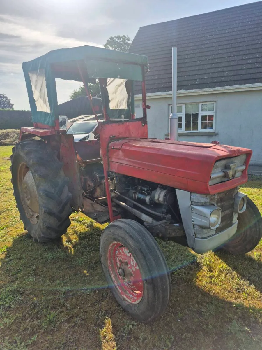 Massey ferguson 135 - Image 2