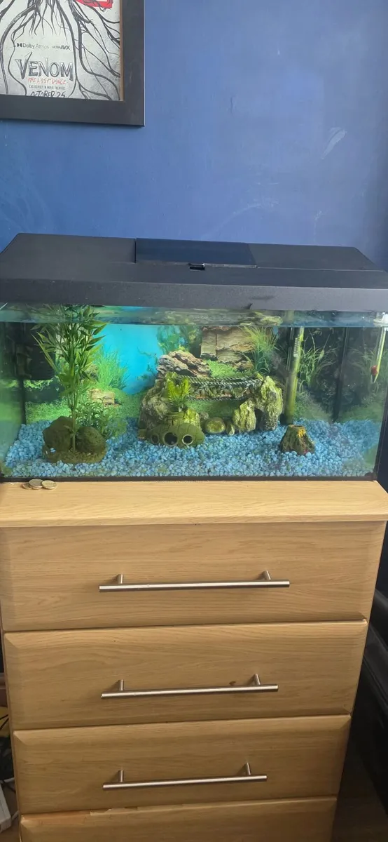 Fish tank