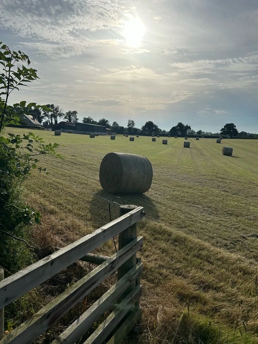 Round bales of Hay - Image 2