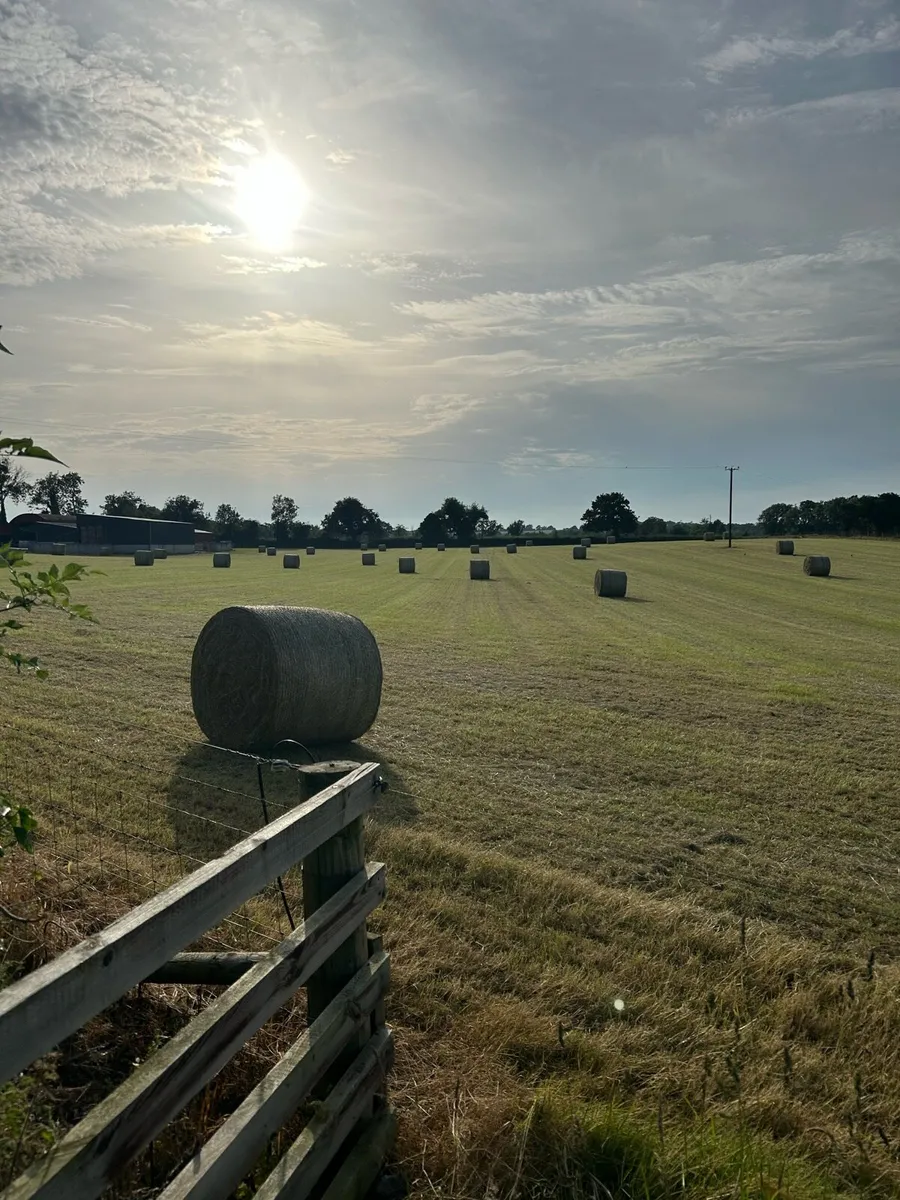 Round bales of Hay - Image 3
