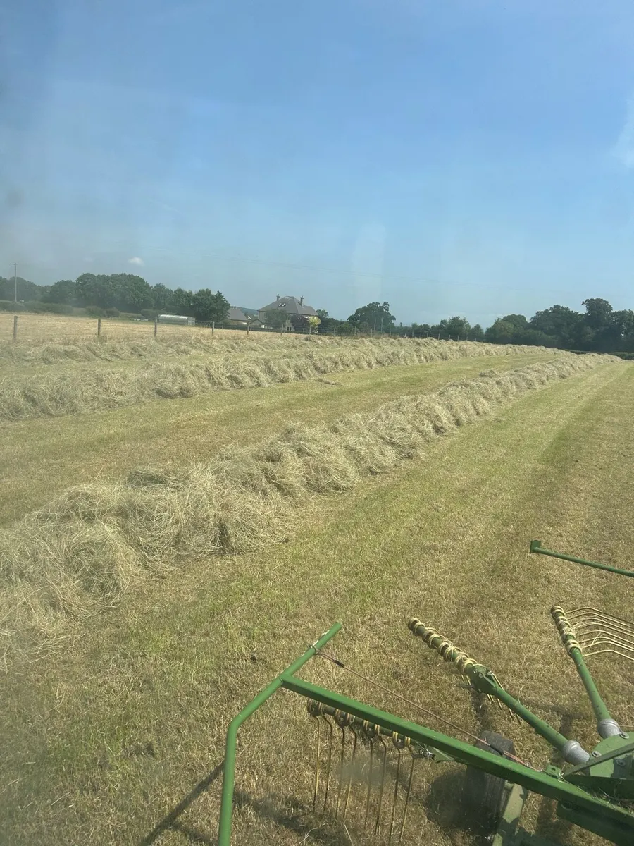 Round bales of Hay - Image 4