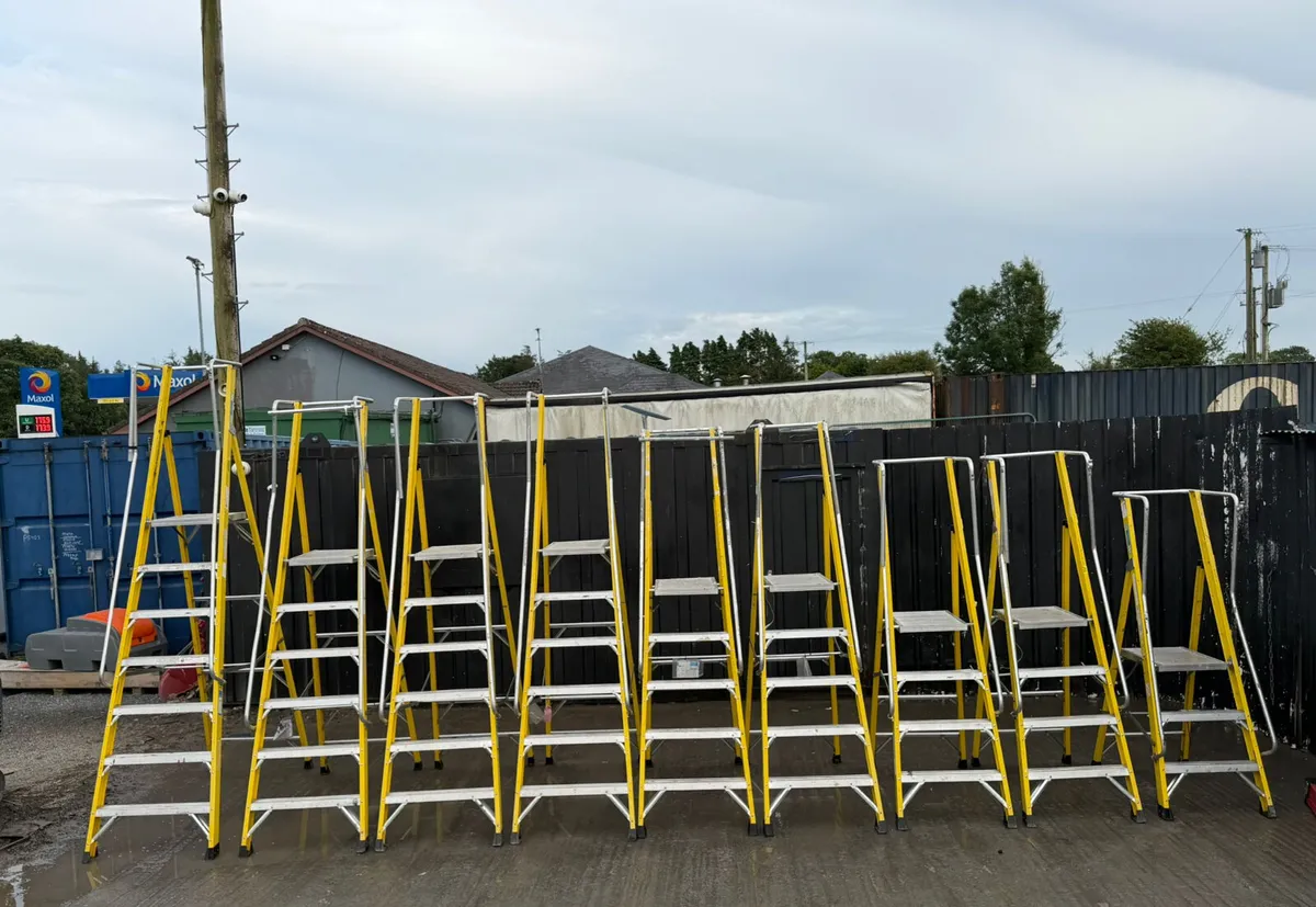 Fibreglass Platform Step Ladder with Handrail - Image 3