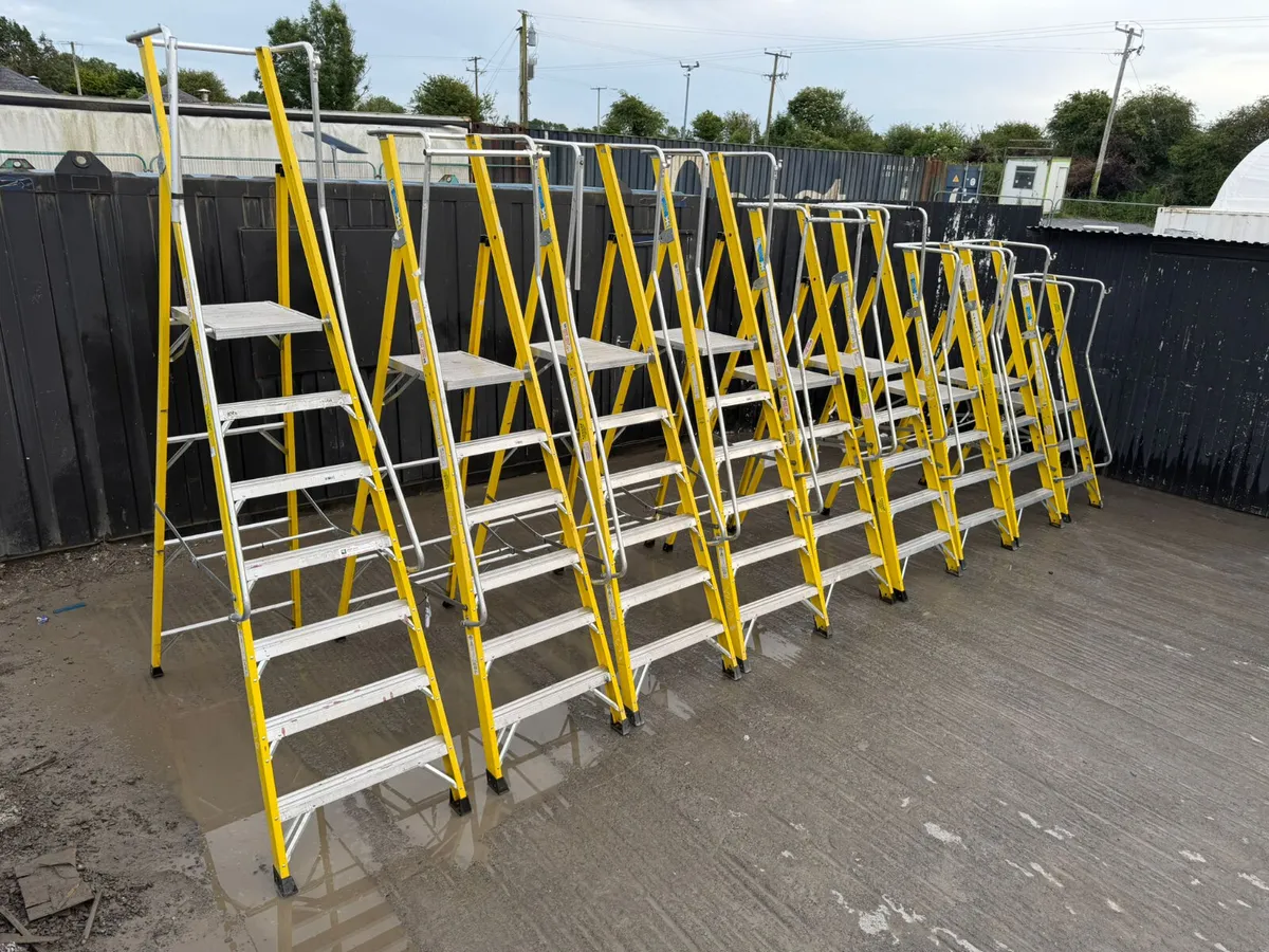 Fibreglass Platform Step Ladder with Handrail - Image 1