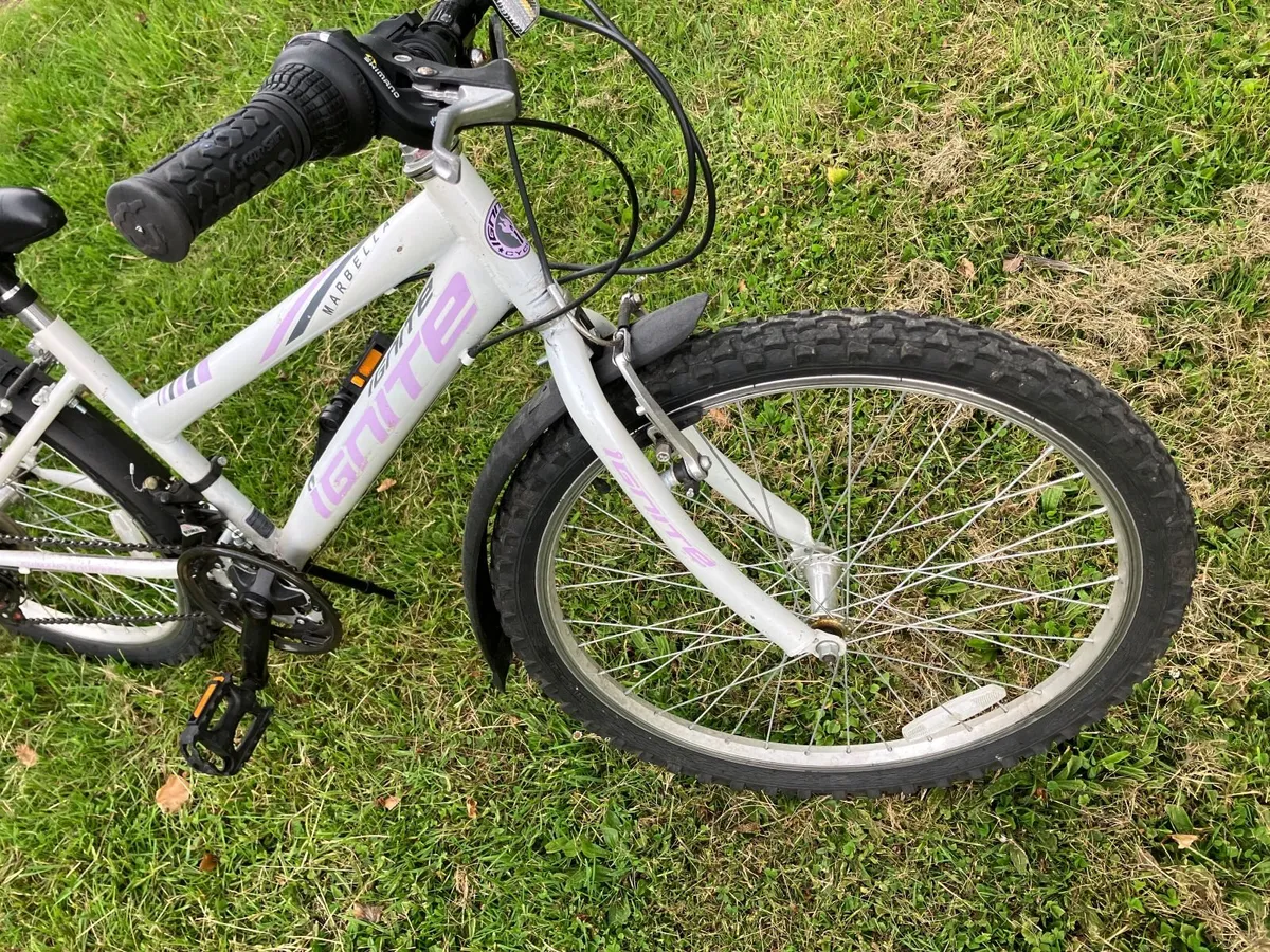 Child's Bike (8-11 yrs) - 20 inch wheels - FREE - Image 4