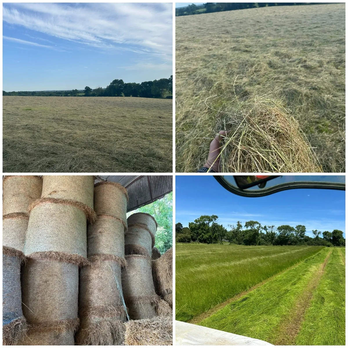Hay and Haylage for sale - Image 3