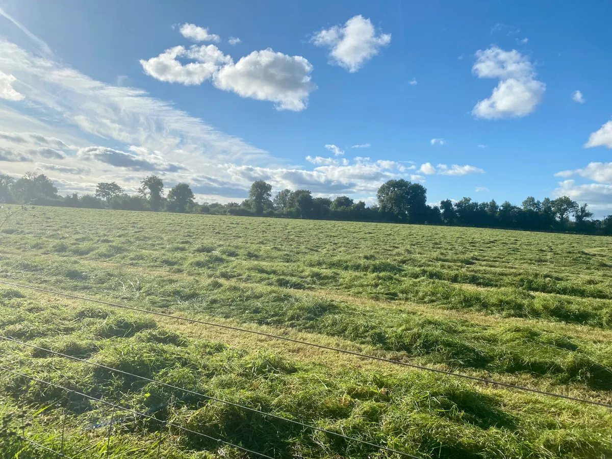 Baled Green Hay €25 - Image 1
