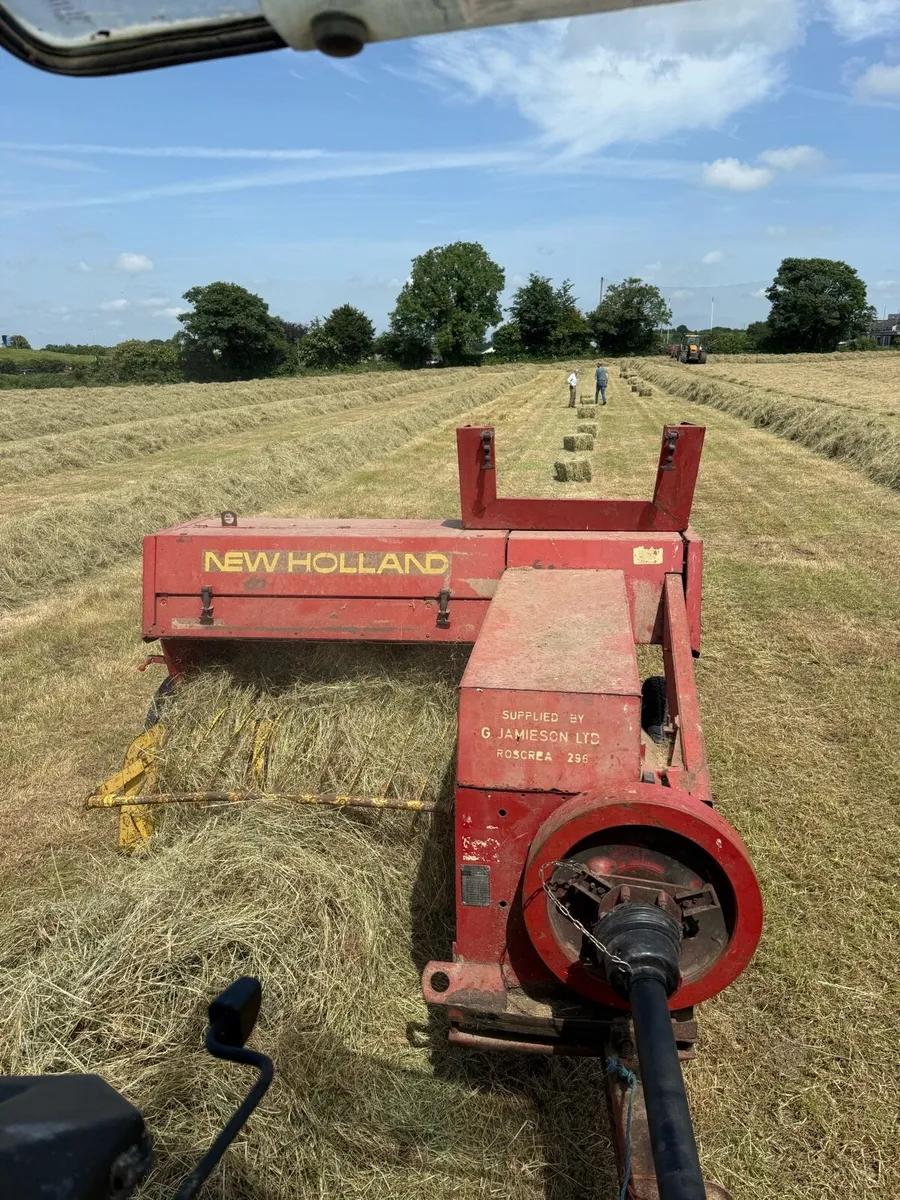 Small square bales of hay - Image 1