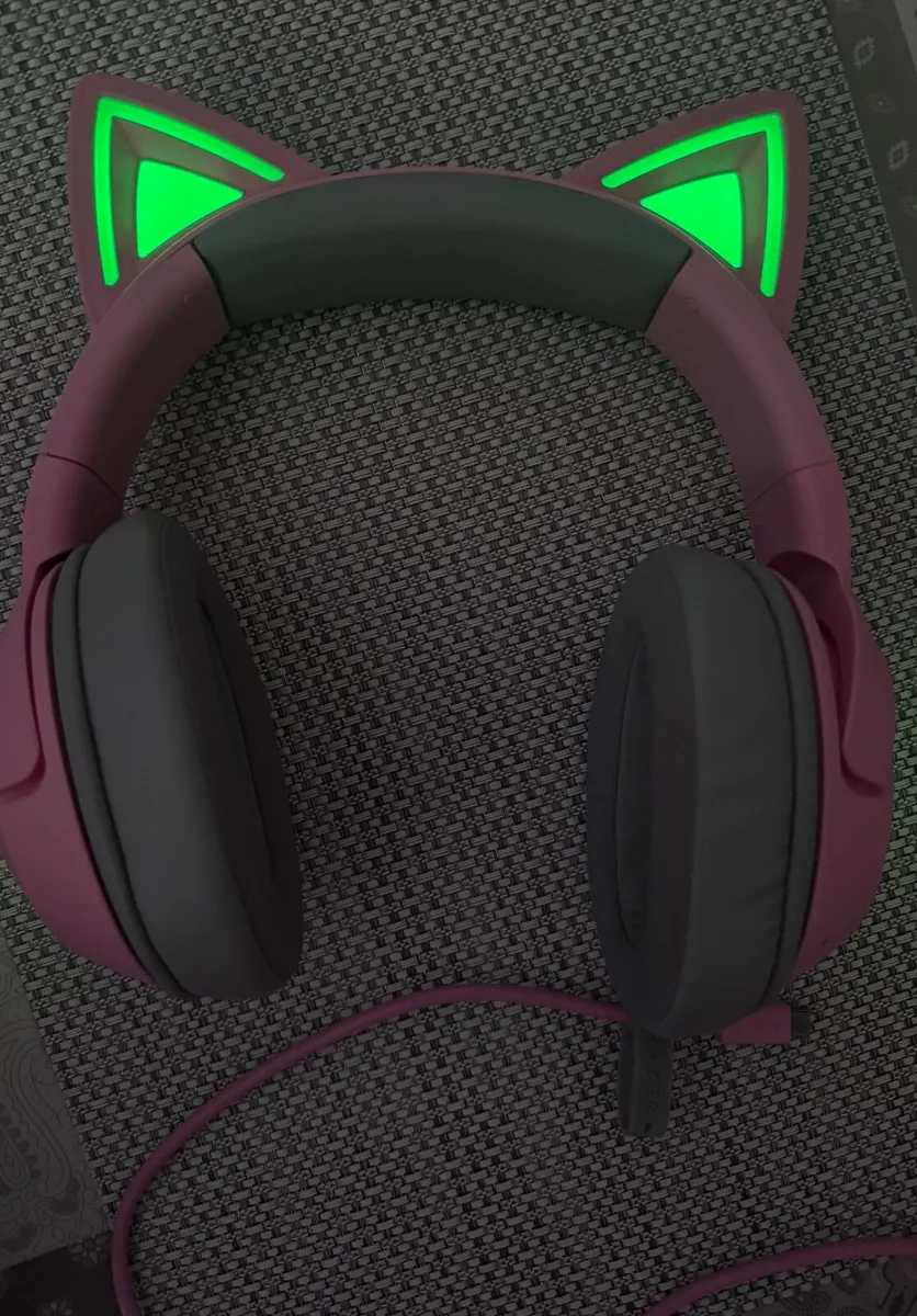 headphones & Mouse - Image 1