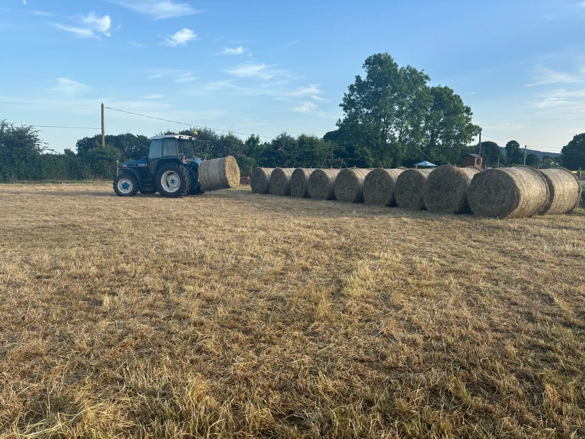 Hay bales - Image 2
