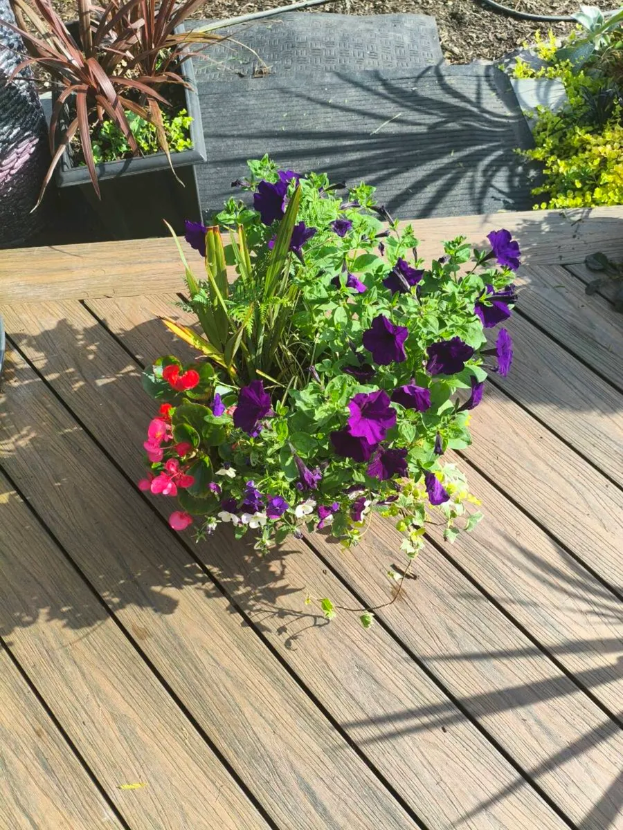 Lovely pot lovely 15euro