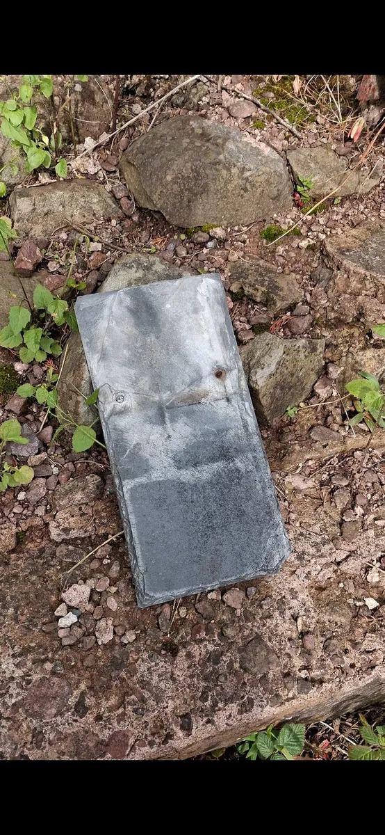 Natural Roofing Slates wanted 14" x  7"