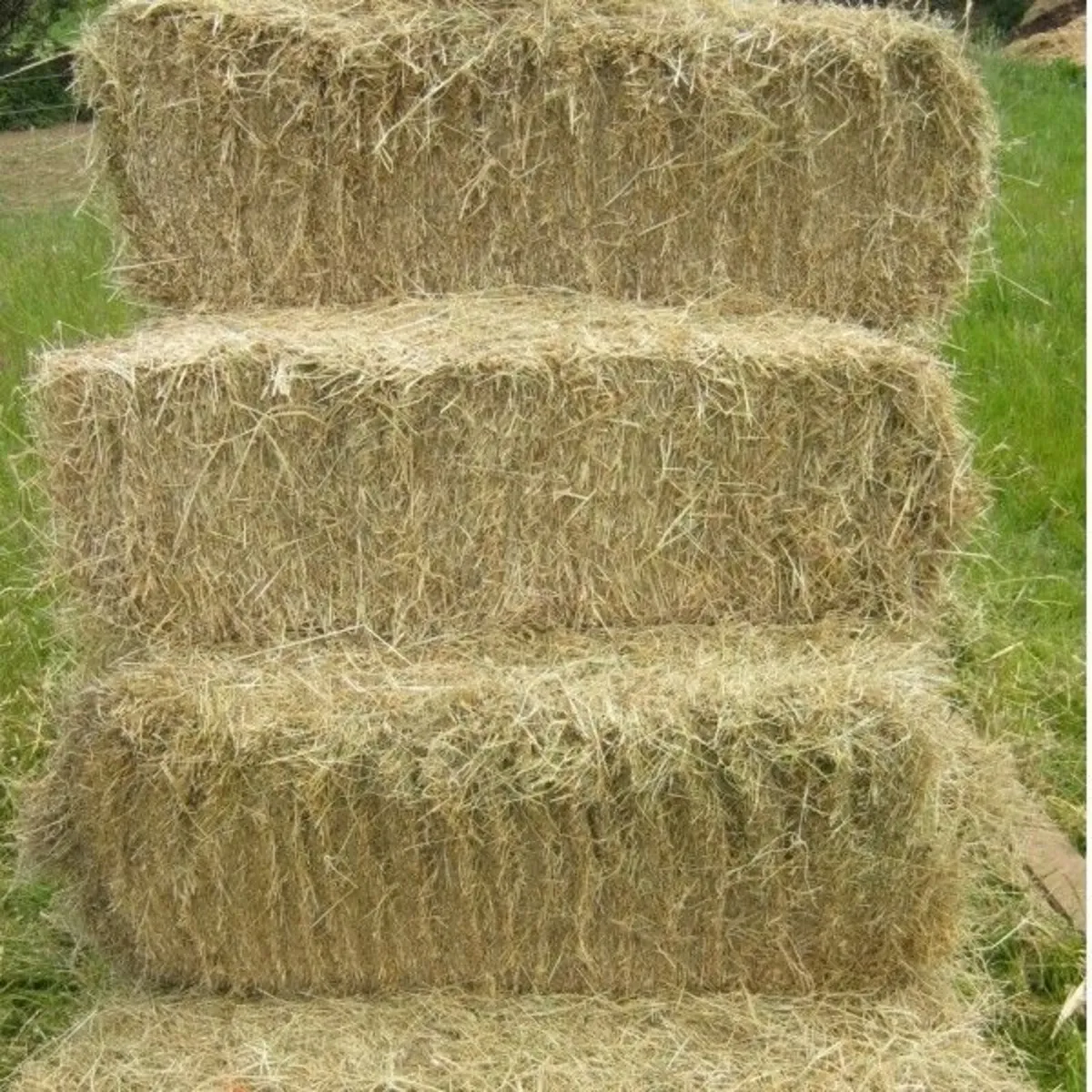 Fresh Small Square bales Hay €4