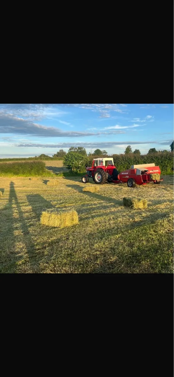 Square bales off field - Image 2