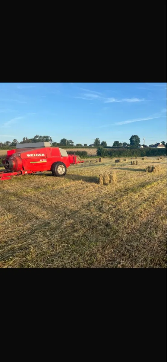 Square bales off field - Image 1