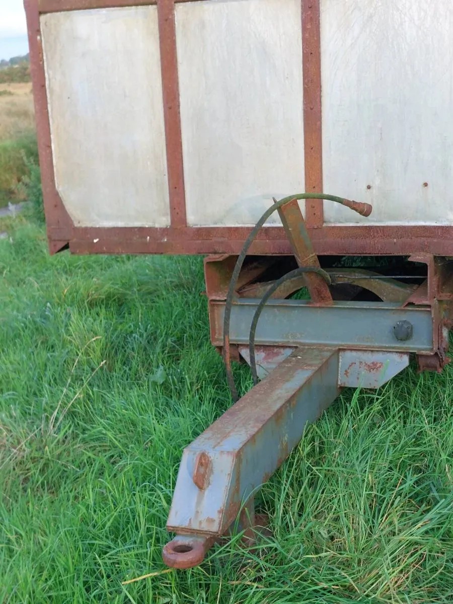 cattle trailer - Image 3