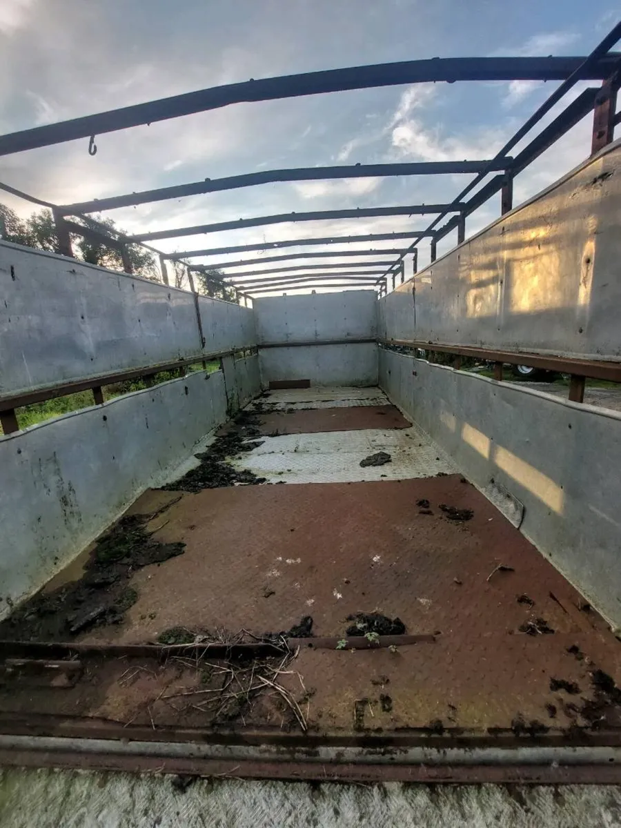 cattle trailer - Image 2