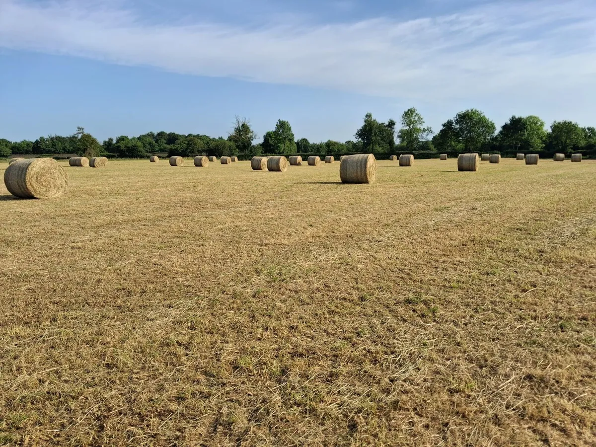 4x4 Round Bales of Hay for sale - Image 1