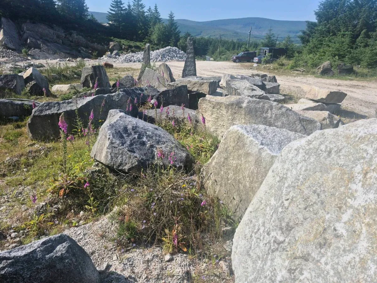 Granite boulders - Image 2