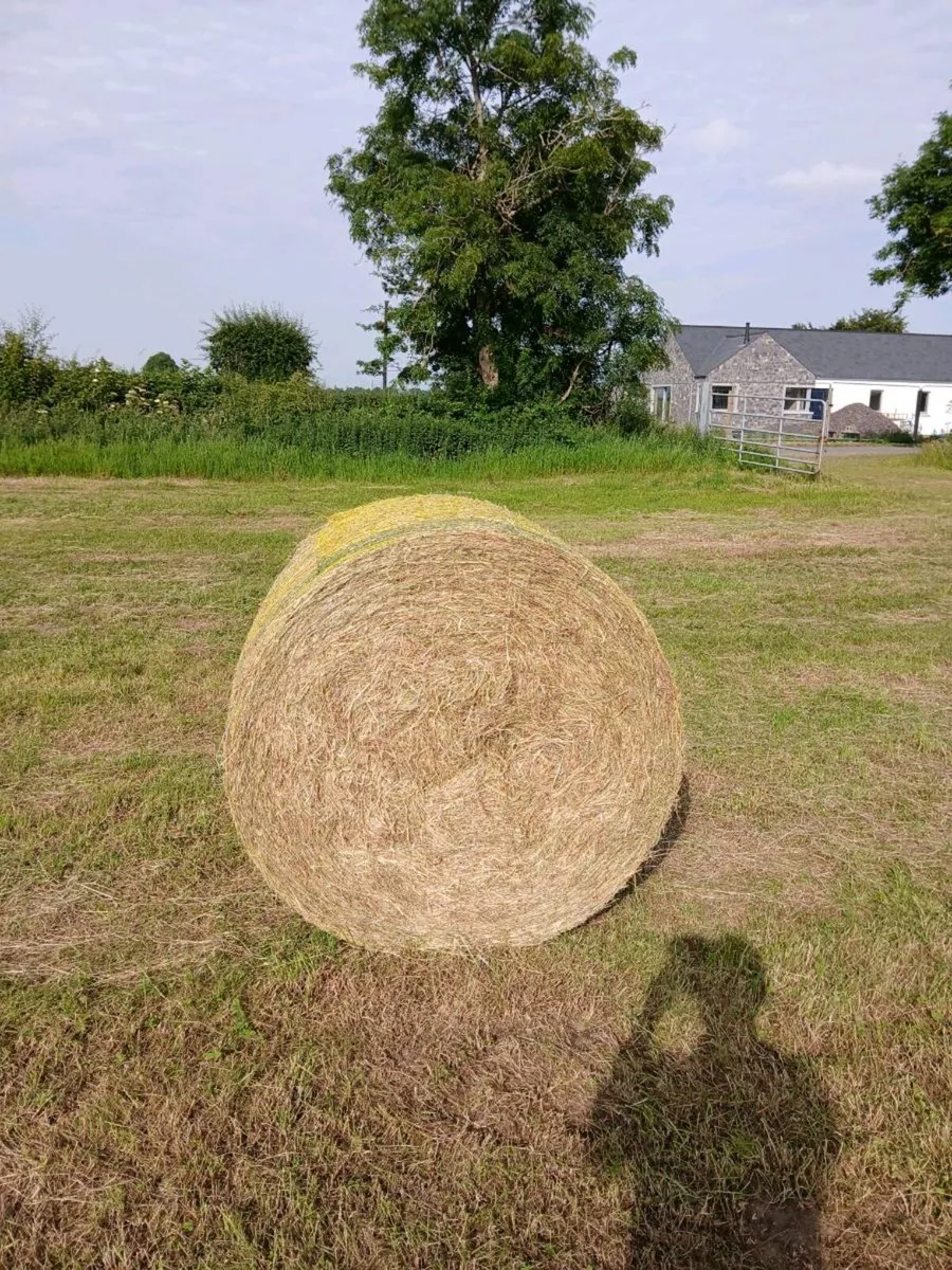 Hay for sale - Image 1