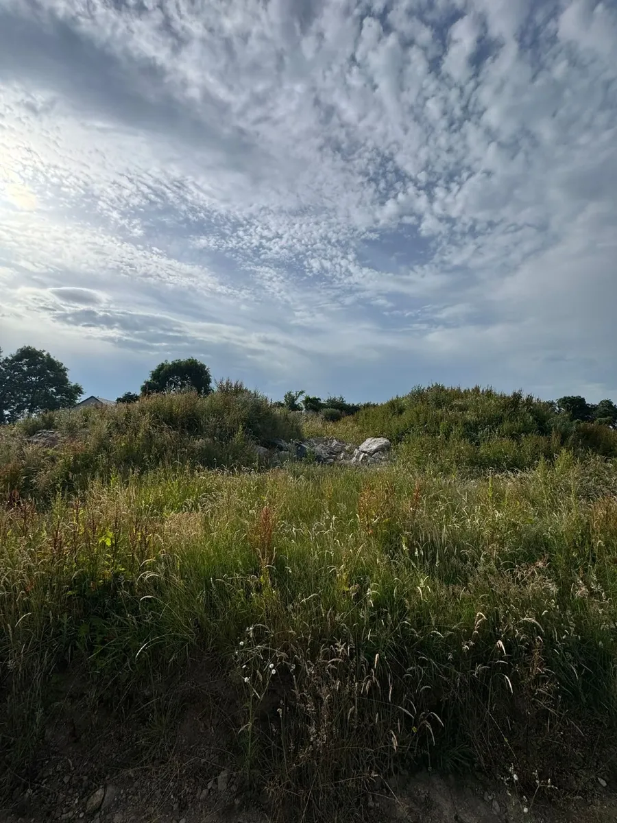 Free fill/subsoil - Image 1