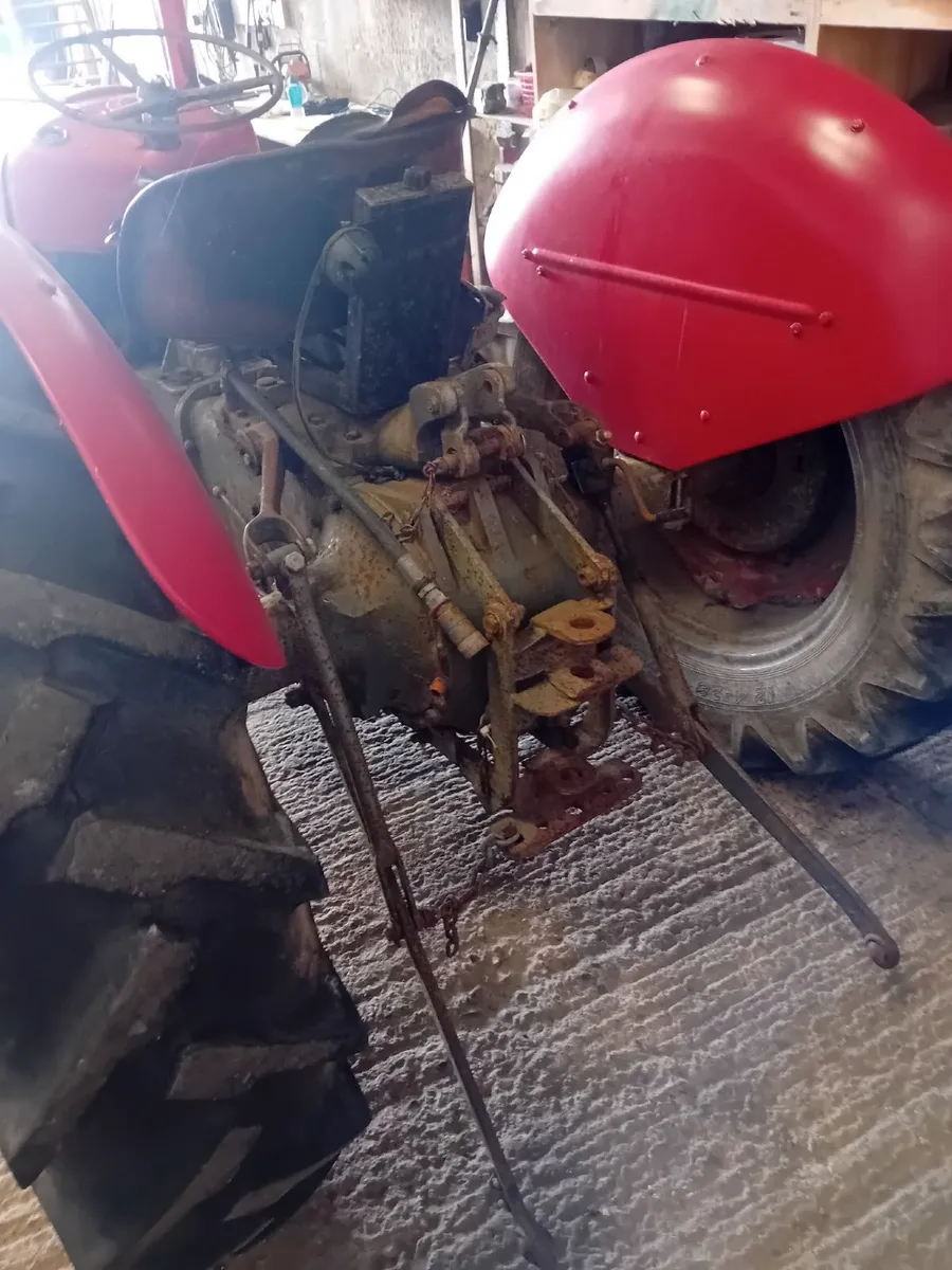 Massey Ferguson 35 - Image 2