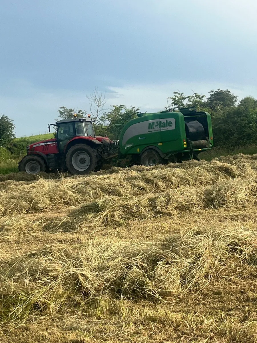 Haylage - Image 2