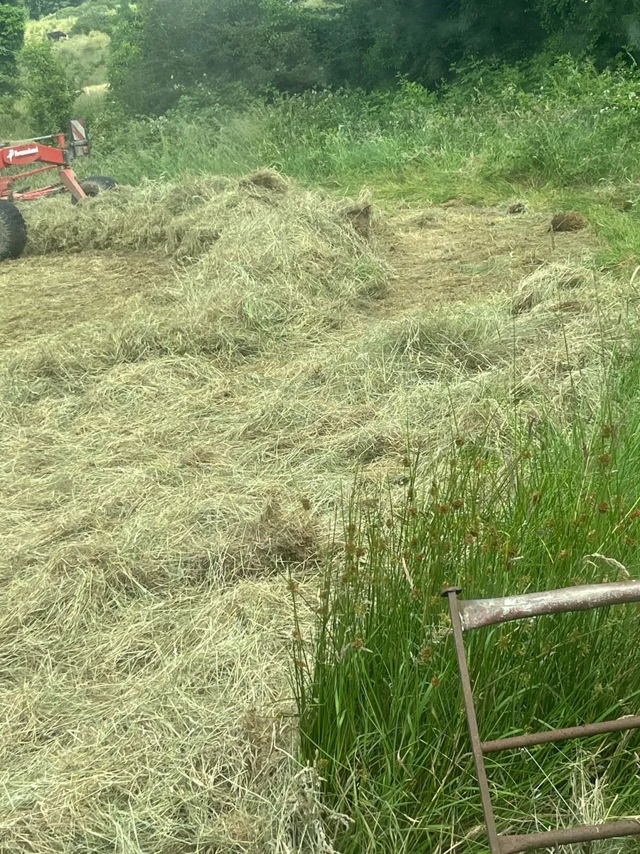 Haylage - Image 4