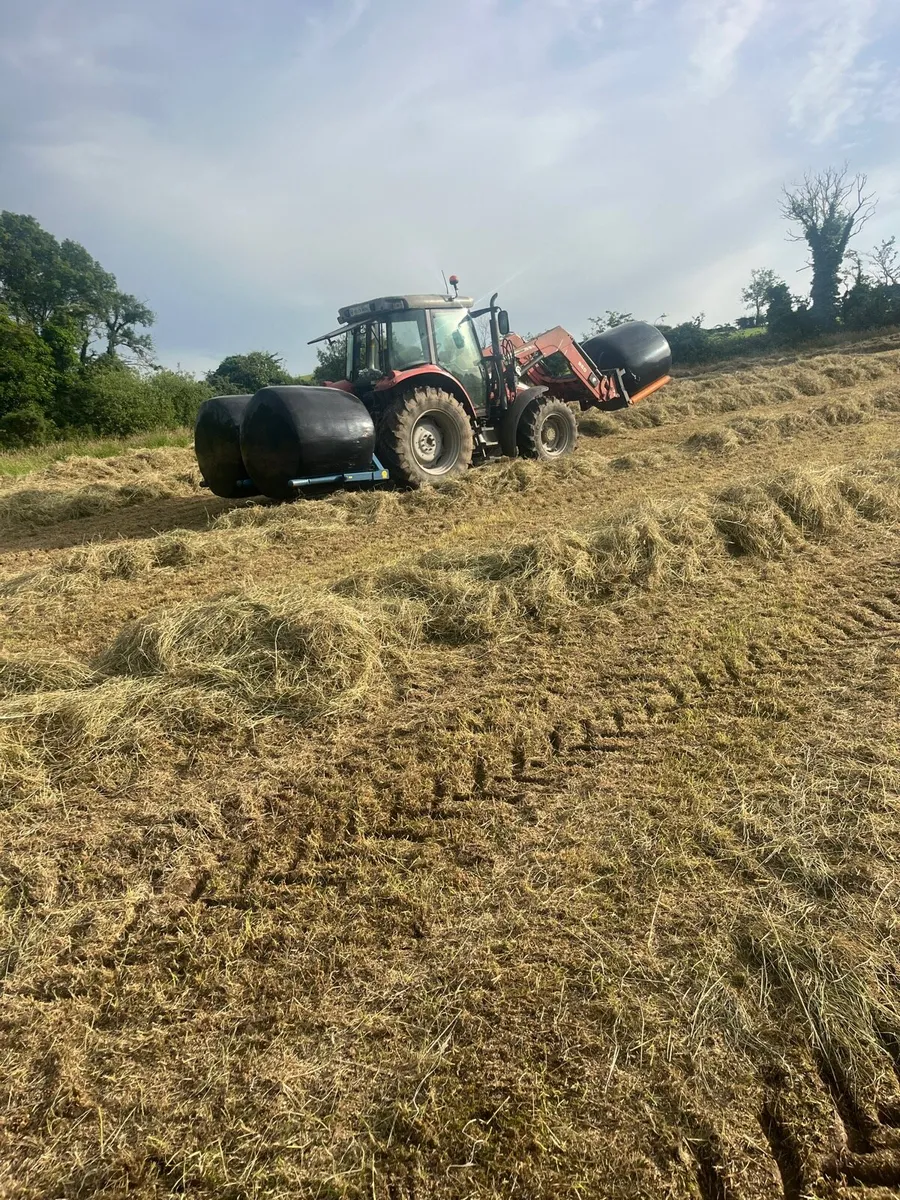 Haylage - Image 3