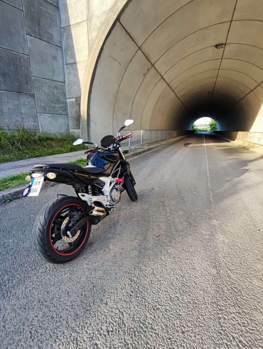 Suzuki Gladius SFV650 - Image 1