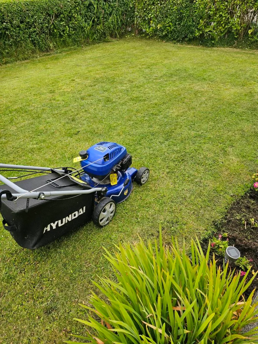 Hyundai 139 cc, Self Propelled Lawnmower - Image 2