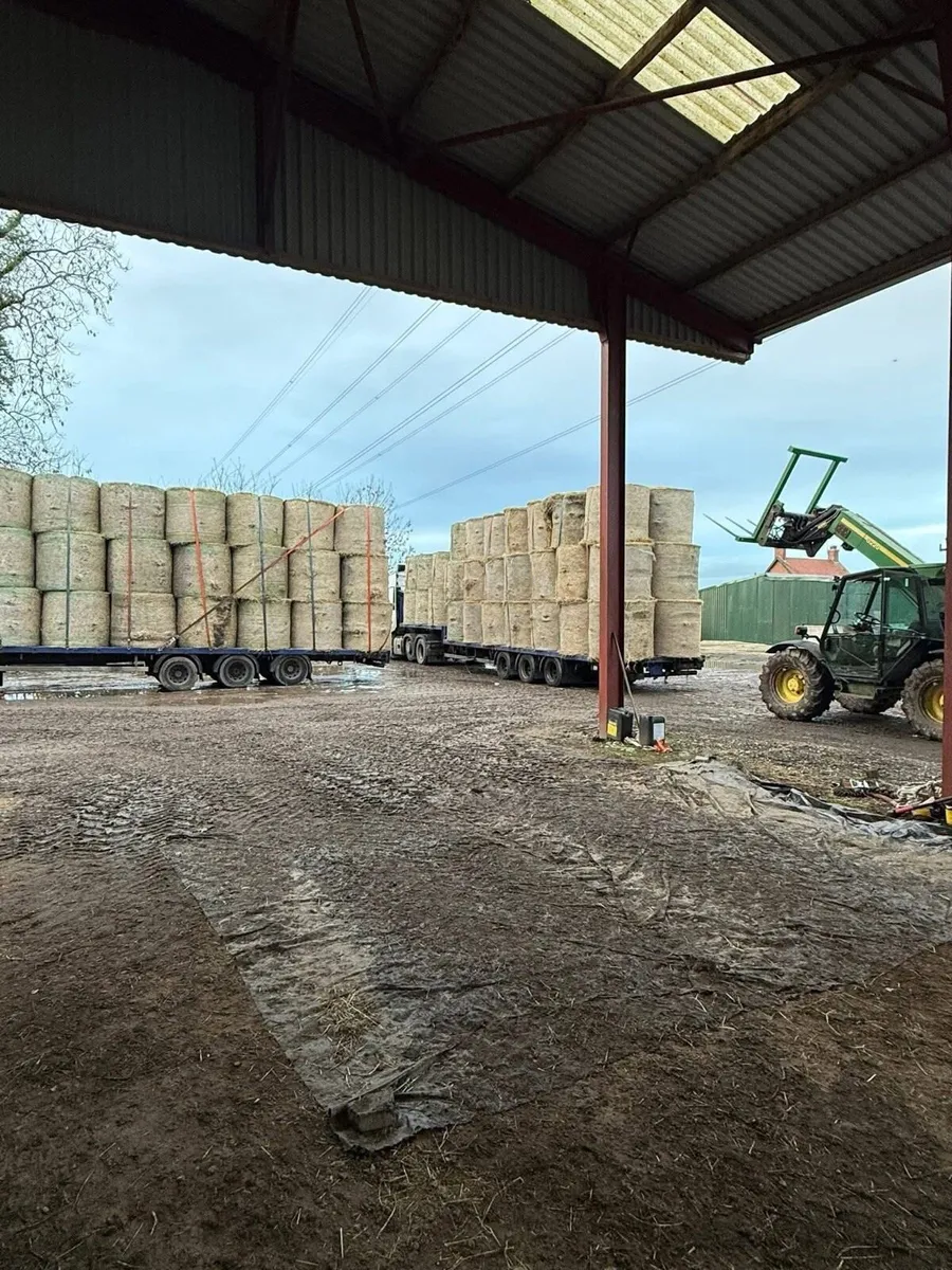 Round bales of New season June hay 🐎 - Image 1