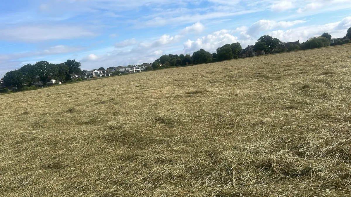 Round bales of New season June hay 🐎 - Image 3