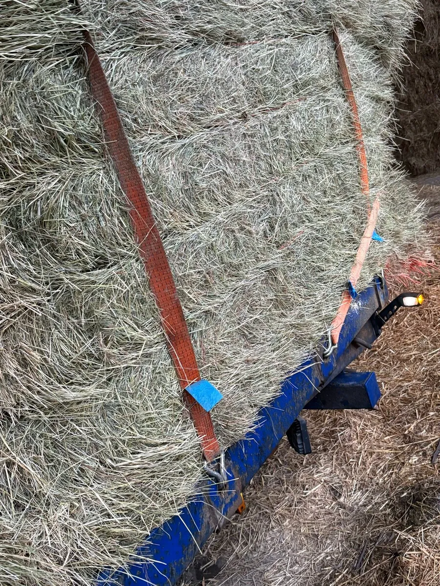 New season June hay in 8x4x3 bales of hay 🐎 - Image 2