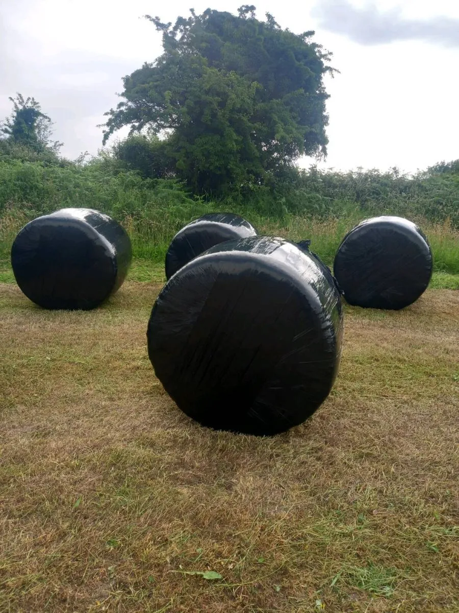 Baled Silage For Sale - Image 1