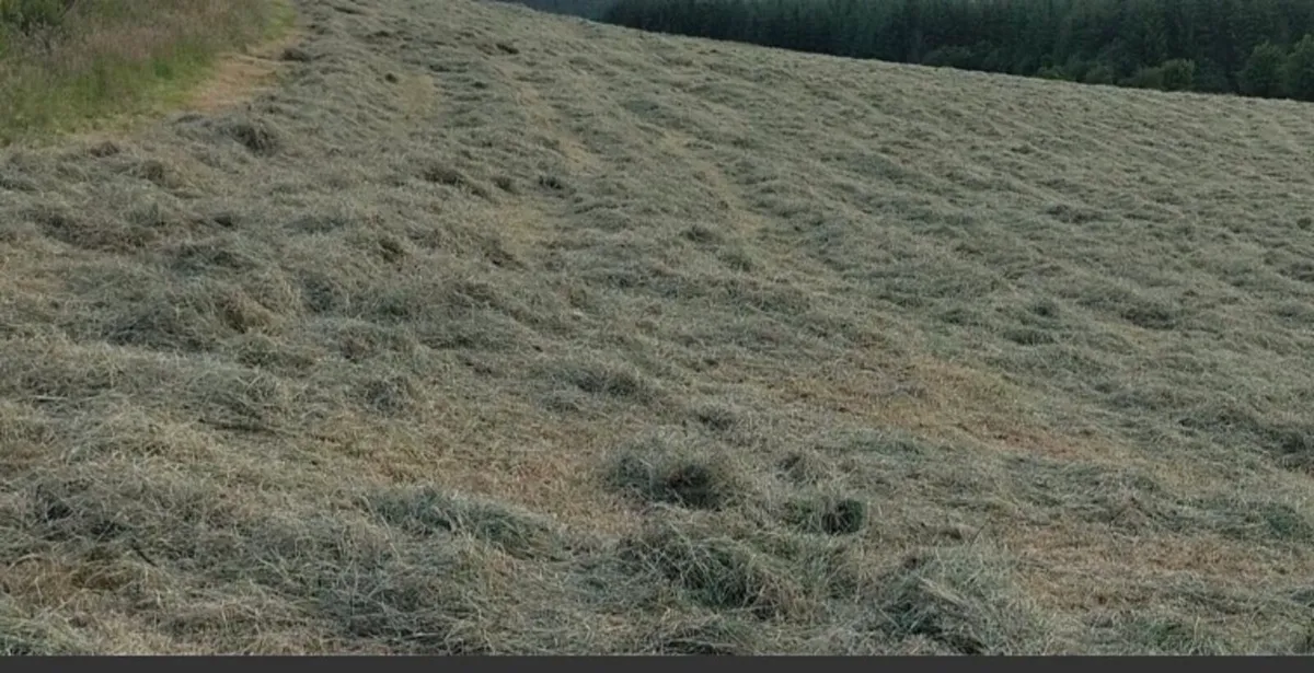 Small square bales - Image 1