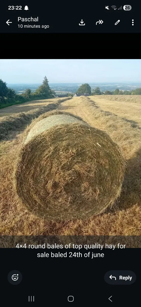 Round bales of hay
