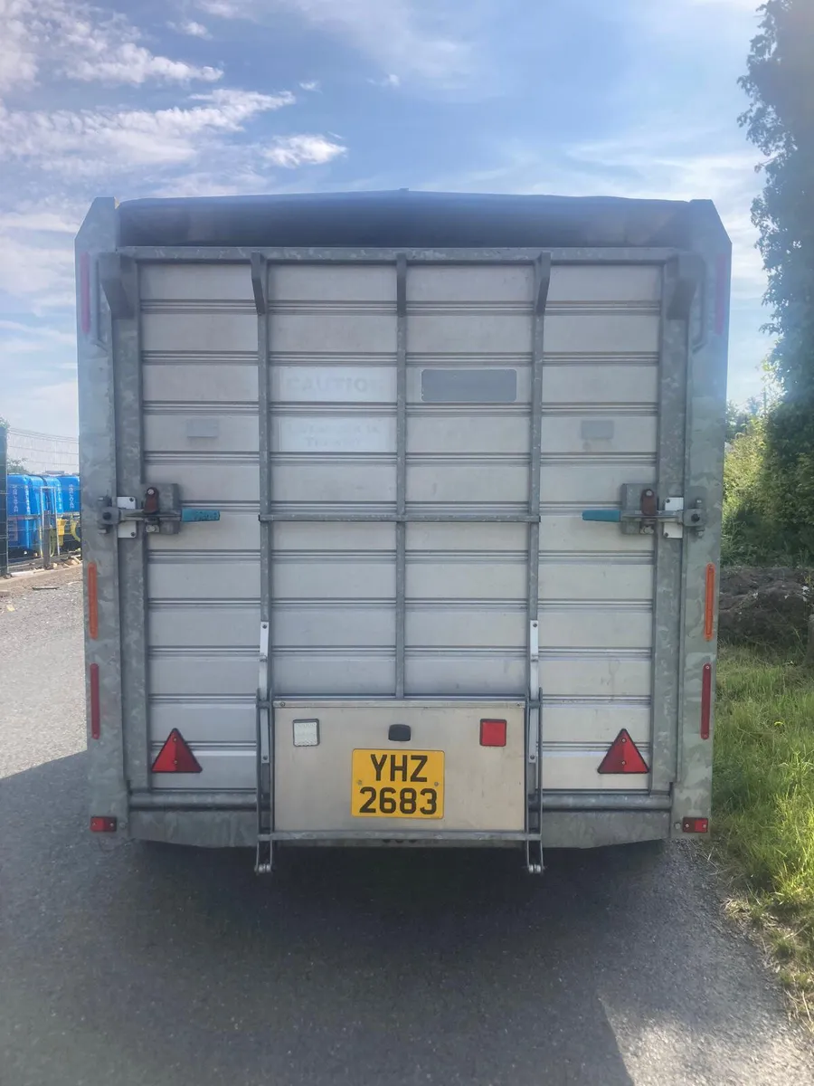 Hudson 12x6 Cattle Trailer Newest model - Image 2