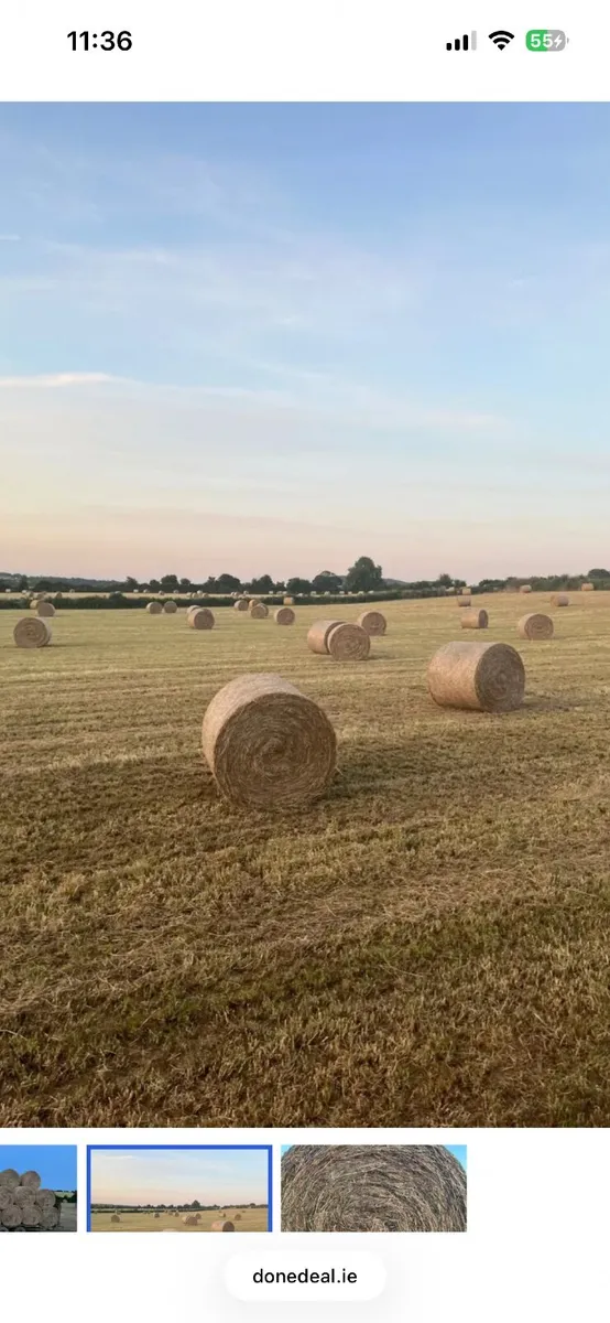 2026 hay for sale - Image 4