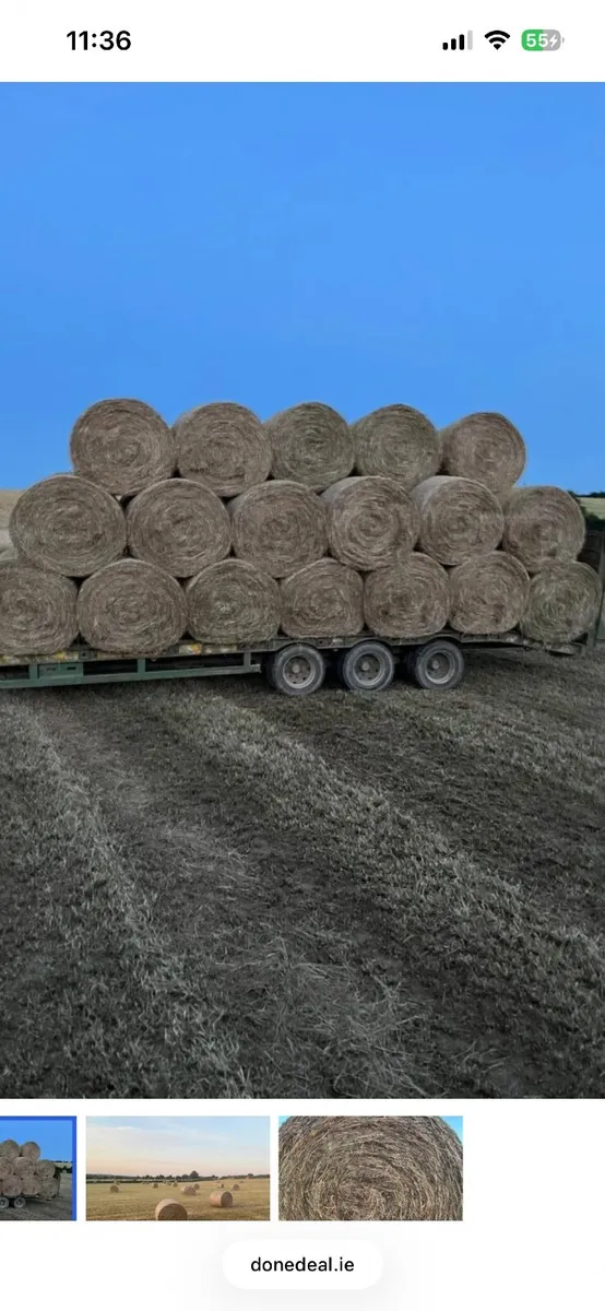 2026 hay for sale - Image 1