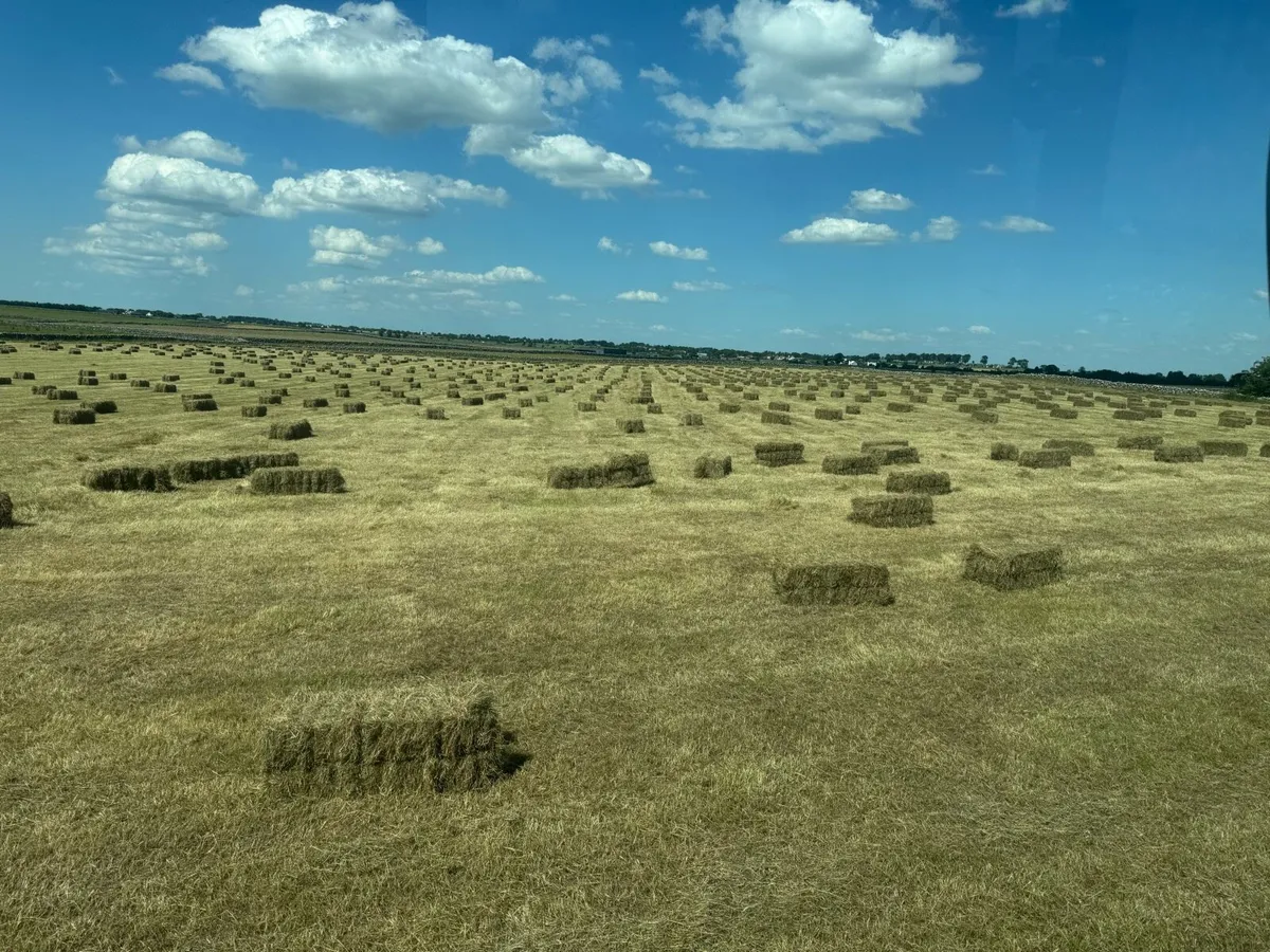 Square Bales 5.00 Each - Image 2