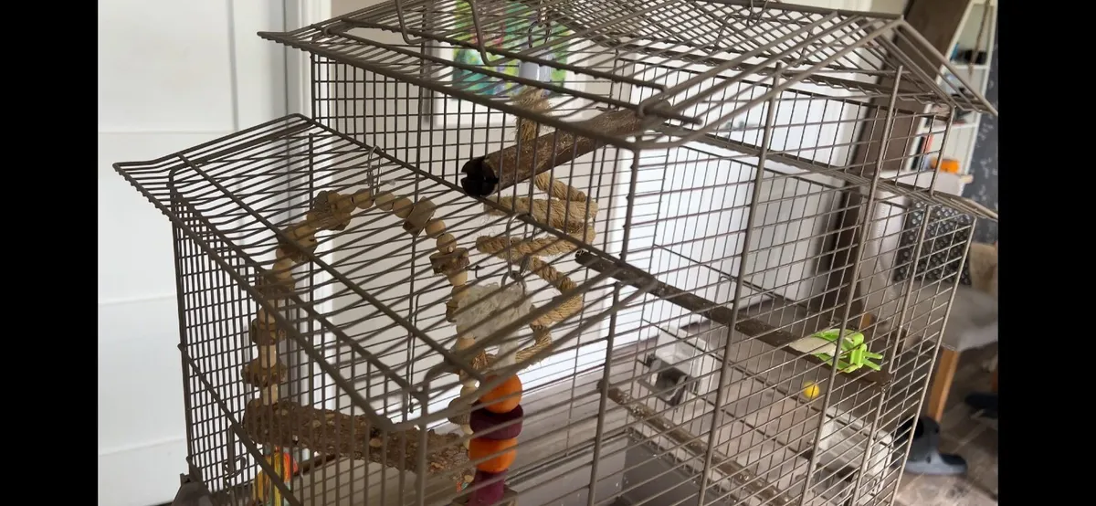 bird cage - Image 1