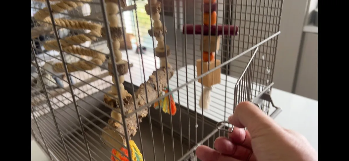 bird cage - Image 4