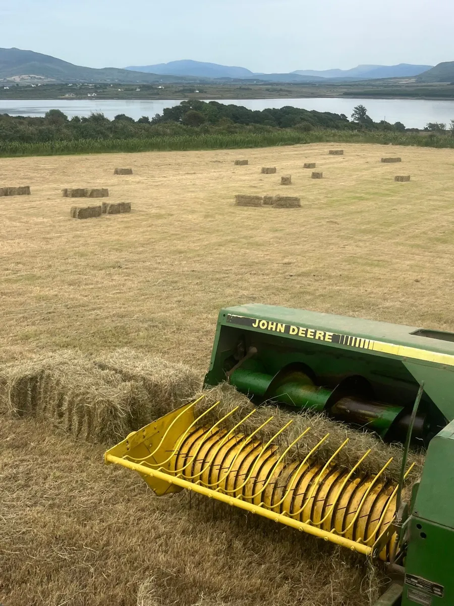 Square and round bales of hay for sale - Image 1